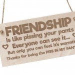 Best Friendship Gift Plaque For Special Friend Gifts For Women