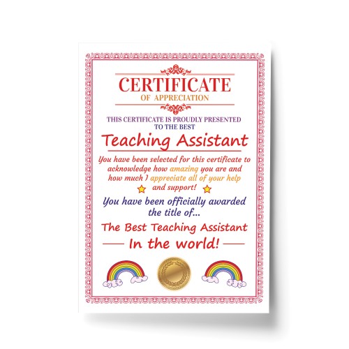 Teaching Assistant Gifts Thank You Gift For TA Gift For Him Her