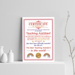 Teaching Assistant Gifts Thank You Gift For TA Gift For Him Her