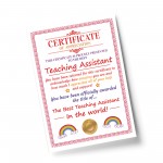 Teaching Assistant Gifts Thank You Gift For TA Gift For Him Her