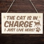 Cat Sign Funny Cat Gift For Cat Lovers Hanging Wood Sign