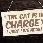 Cat Sign Funny Cat Gift For Cat Lovers Hanging Wood Sign