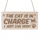 Cat Sign Funny Cat Gift For Cat Lovers Hanging Wood Sign