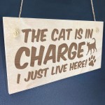 Cat Sign Funny Cat Gift For Cat Lovers Hanging Wood Sign