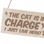 Cat Sign Funny Cat Gift For Cat Lovers Hanging Wood Sign