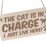 Cat Sign Funny Cat Gift For Cat Lovers Hanging Wood Sign