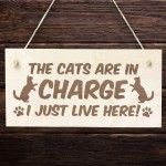 Funny Cat Gifts For Cat Lovers Hanging Wood Sign Home Decor