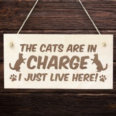 Funny Cat Gifts For Cat Lovers Hanging Wood Sign Home Decor