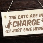 Funny Cat Gifts For Cat Lovers Hanging Wood Sign Home Decor