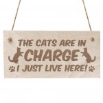 Funny Cat Gifts For Cat Lovers Hanging Wood Sign Home Decor