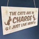 Funny Cat Gifts For Cat Lovers Hanging Wood Sign Home Decor