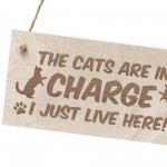 Funny Cat Gifts For Cat Lovers Hanging Wood Sign Home Decor