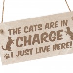 Funny Cat Gifts For Cat Lovers Hanging Wood Sign Home Decor