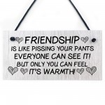 Friendship Gift Wood Sign Funny Best Friend Sign Gift For Women