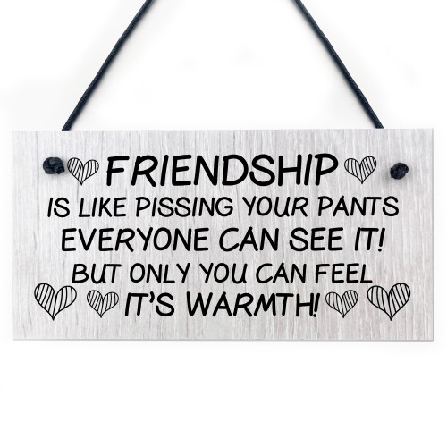 Friendship Gift Wood Sign Funny Best Friend Sign Gift For Women