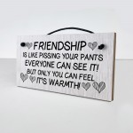 Friendship Gift Wood Sign Funny Best Friend Sign Gift For Women