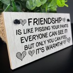 Friendship Gift Wood Sign Funny Best Friend Sign Gift For Women