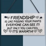 Friendship Gift Wood Sign Funny Best Friend Sign Gift For Women