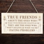 Best Friend Friendsip Plaque Engraved Wooden Sign Frendship Gift