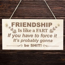 Funny Friendship Sign For Women Engraved Sign Best Friend Gifts