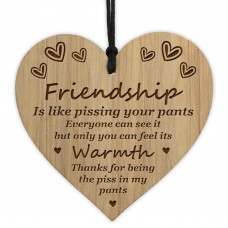 Best Friend Sign Friendship Gift Thank You Gift Shabby Chic