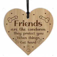 Funny Rude Friendship Plaque Wood Heart Birthday Christmas Gift