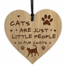 Funny Cat Gift For Cat Lovers Hanging Wood Heart Home Decor