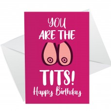 Funny Birthday Card For Girlfriend Friend Funny Joke Humour Card