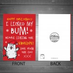 Funny Christmas Card From The Cat Rude Cheeky Card For Family