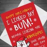 Funny Christmas Card From The Cat Rude Cheeky Card For Family