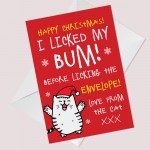 Funny Christmas Card From The Cat Rude Cheeky Card For Family