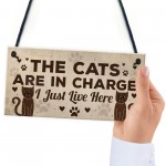 Funny Cat Gifts For Cat Lovers 3 Pack Gift For Women Home Decor 