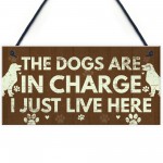 Funny Dog Signs For Home 3 Pack Dog Lover Gifts Birthday Xmas