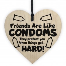 Funny Rude Friendship Plaque Novelty Birthday Christmas Gift