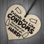 Funny Rude Friendship Plaque Novelty Birthday Christmas Gift
