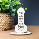 FUNNY Best Friend Gift Engraved Plaque Friendship Christmas
