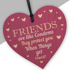 Funny Rude Friendship Plaque Novelty Birthday Gift For Friend