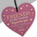 Funny Rude Friendship Sign Joke Birthday Christmas Gift