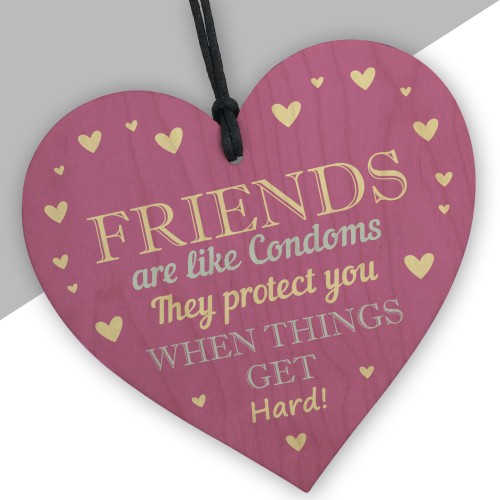 Funny Rude Friendship Sign Joke Birthday Christmas Gift