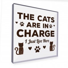 Funny Cat Gifts For Cat Lover Gift For Women Acrylic Animal Sign