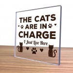 Funny Cat Gifts For Cat Lover Gift For Women Acrylic Animal Sign