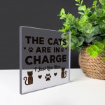 Funny Cat Gifts For Cat Lover Gift For Women Acrylic Animal Sign