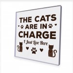 Funny Cat Gifts For Cat Lover Gift For Women Acrylic Animal Sign