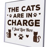 Funny Cat Gifts For Cat Lover Gift For Women Acrylic Animal Sign