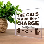 Funny Cat Gifts For Cat Lover Gift For Women Acrylic Animal Sign