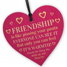 Funny Friendship Gift Plaque Best Friend Gifts For Her Bestie