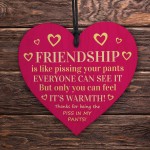 Funny Friendship Gift Plaque Best Friend Gifts For Her Bestie