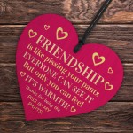 Funny Friendship Gift Plaque Best Friend Gifts For Her Bestie
