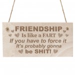 BEST FRIEND PLAQUE Funny Friendship Sign Gift For Him Her