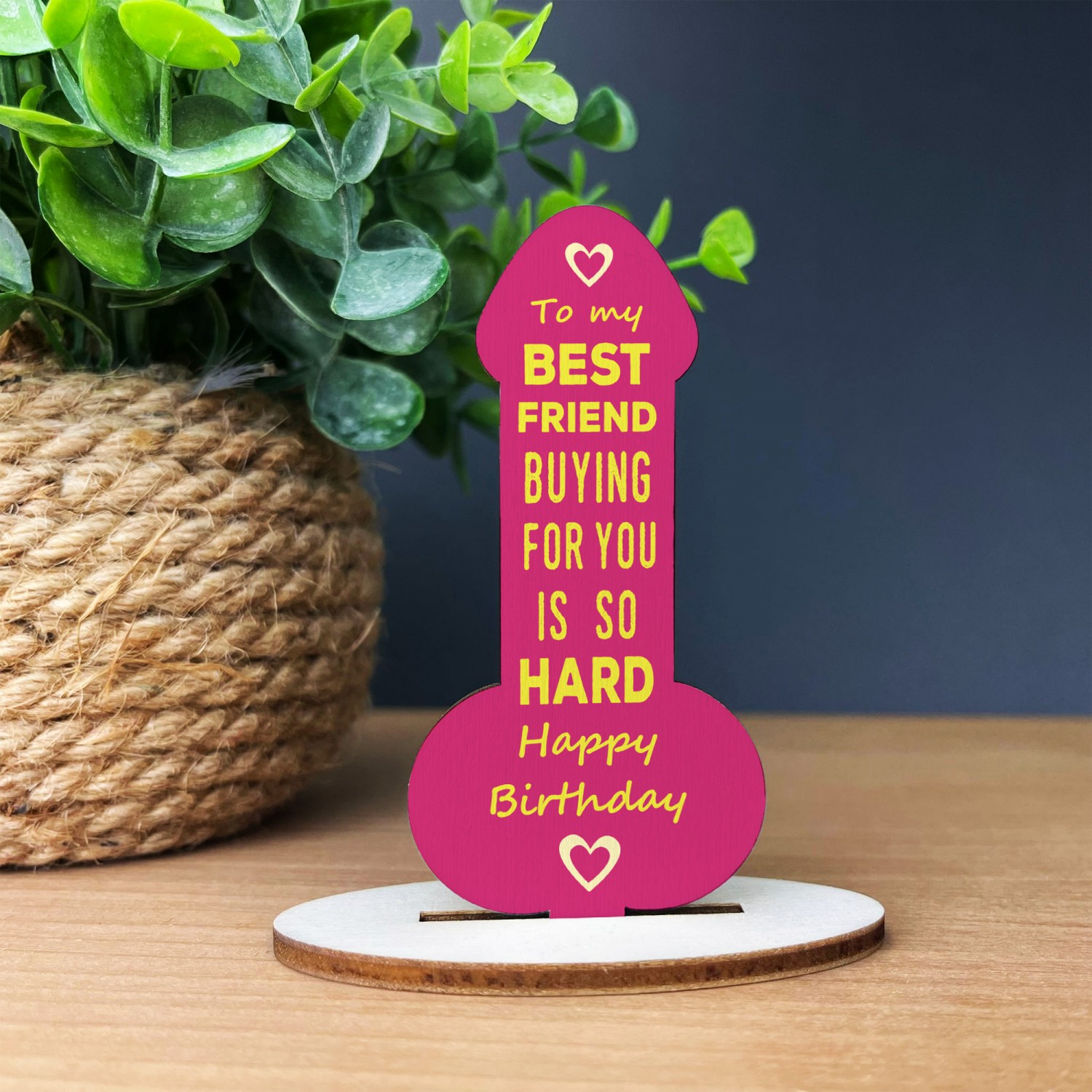 FUNNY BEST FRIEND CARD Friendship Plaque Funny Birthday Gifts